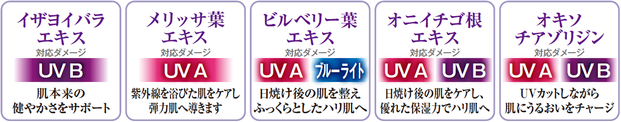 イザヨイバラエキス：肌本来の健やかさをサポート　メリッサ葉エキス：紫外線を浴びた肌をケアし弾力肌へ導きます　ビルベリー葉エキス：日焼け後の肌を整えふっくらとしたハリ肌へ　オニイチゴ根エキス：日焼け後の肌をケアし、優れた保湿力でハリ肌へ　オキソチアゾリジン：UVカットしながら肌にうるおいをチャージ