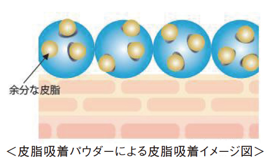 皮脂吸着パウダーによる皮脂吸着イメージ図