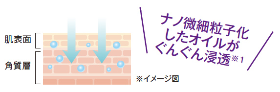 ナノ微細粒子化したオイルがぐんぐん浸透