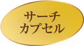 サーチカプセル