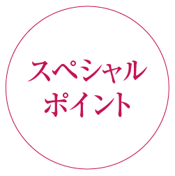 スペシャルポイント