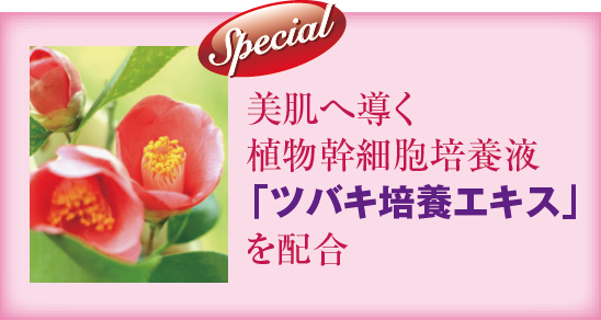 美肌へ導く植物幹細胞培養液「ツバキ培養エキス」を配合