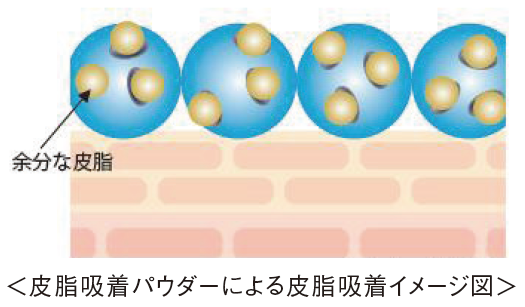 皮脂吸着パウダーによる皮脂吸着イメージ図