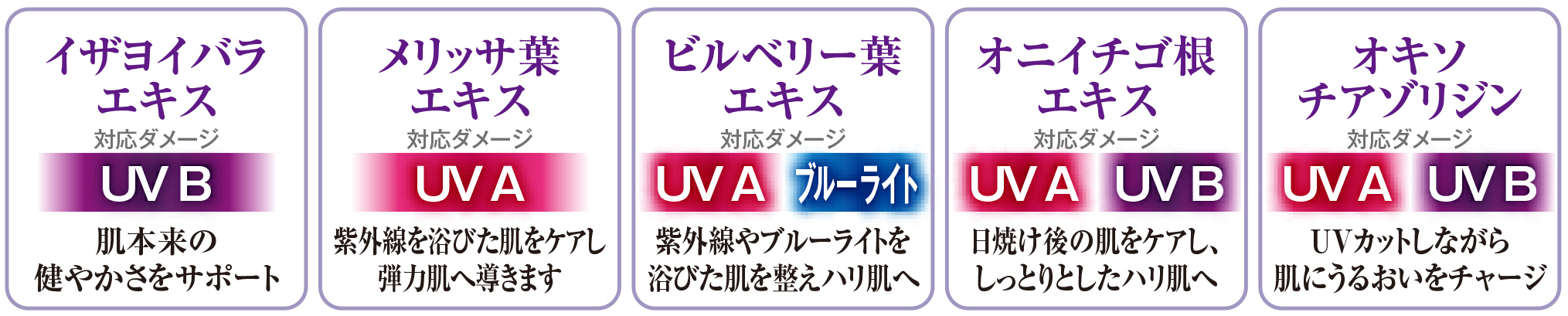 イザヨイバラエキス メリッサ葉 ビルベリー葉エキス オニイチゴ根エキス オキソチアゾリジン