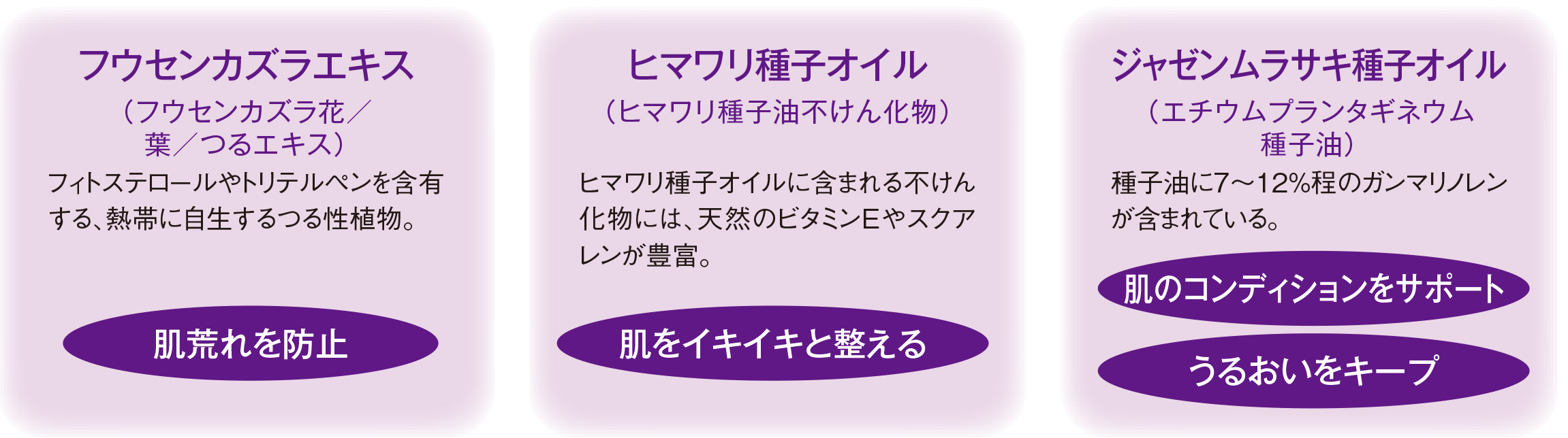 フウセンカズラエキス（フウセンカズラ花／葉／つるエキス）フィトステロールやトリテルペンを含有する、熱帯に自生するつる性植物。　肌荒れを防止／ヒマワリ種子オイル（ヒマワリ種子油不けん化物）ヒマワリ種子オイルに含まれる不けん化物には、天然のビタミンEやスクアレンが豊富。　肌をイキイキと整える／ジャゼンムラサキ種子オイル（エチウムプランタギネウム種子油）種子油に7〜12%程のガンマリノレンが含まれている。 肌のコンディションをサポート うるおいをキープ
