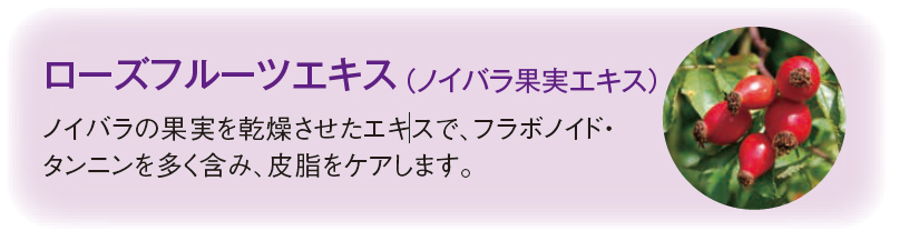 ローズフルーツエキス　ノイバラの果実を乾燥させたエキスで、フラボノイド・タンニンを多く含み、皮脂をケアします。