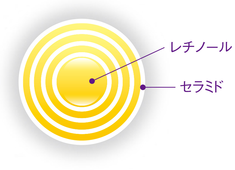 レチノール セラミド