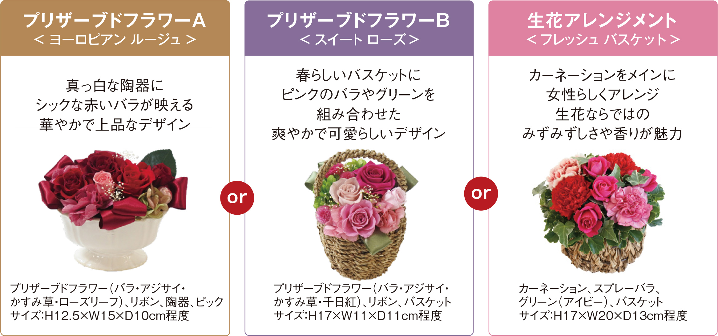 プリザーブドフラワーA＜ヨーロピアン ルージュ＞真っ白な陶器にシックな赤いバラが映える華やかで上品なデザイン　プリザーブドフラワー（バラ・アジサイ・かすみ草・ローズリーフ）、リボン、陶器、ピックサイズ：H12.5×W15×D10cm程度／プリザーブドフラワーB＜スイート ローズ＞春らしいバスケットにピンクのバラやグリーンを組み合わせた爽やかで可愛らしいデザイン プリザーブドフラワー（バラ・アジサイ・かすみ草・千日紅）、リボン、バスケットサイズ：H17×W11×D11cm程度／生花アレンジメント＜フレッシュ バスケット＞カーネーションをメインに女性らしくアレンジ生花ならではのみずみずしさや香りが魅力　カーネーション、スプレーバラ、グリーン（アイビー）、バスケットサイズ：H17×W20×D13cm程度