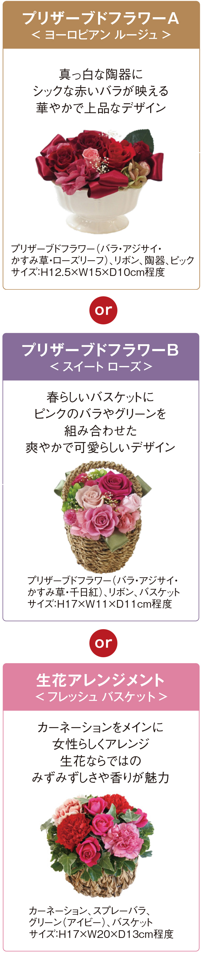 プリザーブドフラワーA＜ヨーロピアン ルージュ＞真っ白な陶器にシックな赤いバラが映える華やかで上品なデザイン　プリザーブドフラワー（バラ・アジサイ・かすみ草・ローズリーフ）、リボン、陶器、ピックサイズ：H12.5×W15×D10cm程度／プリザーブドフラワーB＜スイート ローズ＞春らしいバスケットにピンクのバラやグリーンを組み合わせた爽やかで可愛らしいデザイン プリザーブドフラワー（バラ・アジサイ・かすみ草・千日紅）、リボン、バスケットサイズ：H17×W11×D11cm程度／生花アレンジメント＜フレッシュ バスケット＞カーネーションをメインに女性らしくアレンジ生花ならではのみずみずしさや香りが魅力　カーネーション、スプレーバラ、グリーン（アイビー）、バスケットサイズ：H17×W20×D13cm程度
