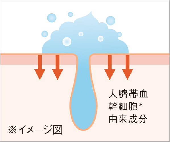人臍帯血（さいたいけつ）幹細胞＊入りバブルが汚れを落としながらイキイキしっとり肌へ