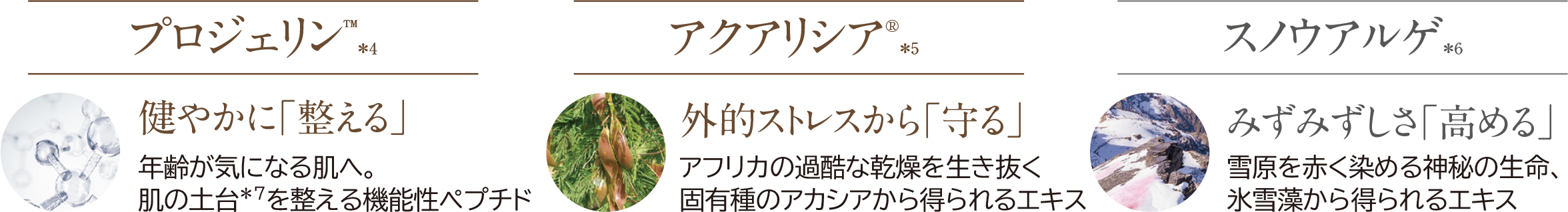 プロジェリン アクアリシア スノウアルゲ