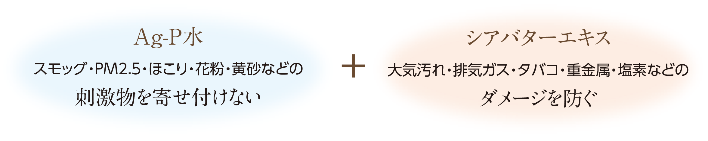 Ag-P水＋シアバターエキス