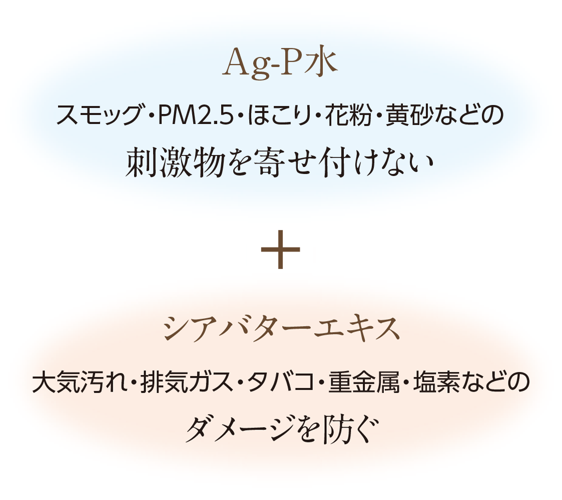 Ag-P水＋シアバターエキス