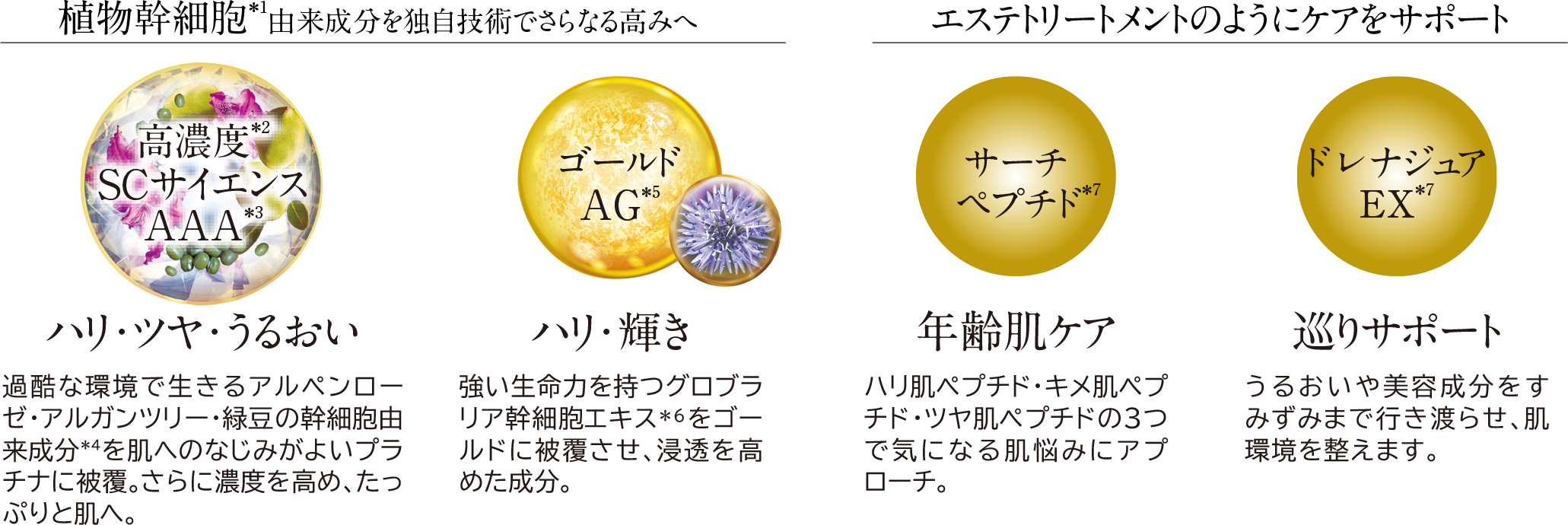 植物幹細胞＊1由来成分を独自技術でさらなる高みへ エステトリートメントのようにケアをサポート